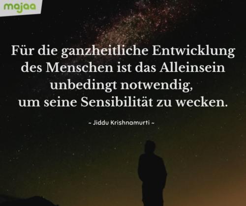 7938-sprueche-zitate-nachdenken-weisheiten-lebensweisheiten-leben-liebe-spirituell-energie-positiv-bild-majaa-alleinsein