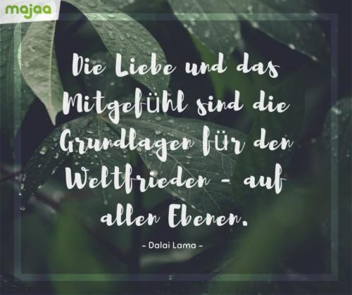 8009-sprueche-zitate-nachdenken-weisheiten-lebensweisheiten-leben-liebe-spirituell-energie-schoen-herzlich-positiv-majaa-mitgefuehl-weltfrieden