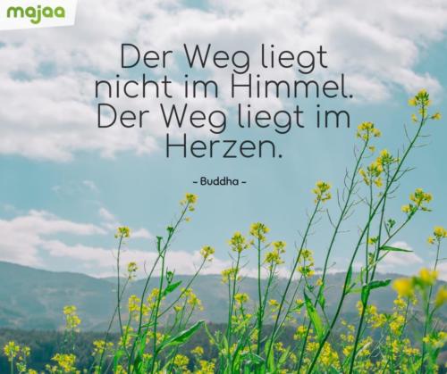 8034-sprueche-zitate-nachdenken-weisheiten-lebensweisheiten-leben-liebe-spirituell-energie-schoen-herzlich-positiv-majaa-weg-im-himmel-herzen