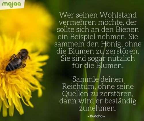 8036-sprueche-zitate-nachdenken-weisheiten-lebensweisheiten-leben-liebe-spirituell-energie-schoen-herzlich-positiv-majaa-biene-beispiel-nehmen