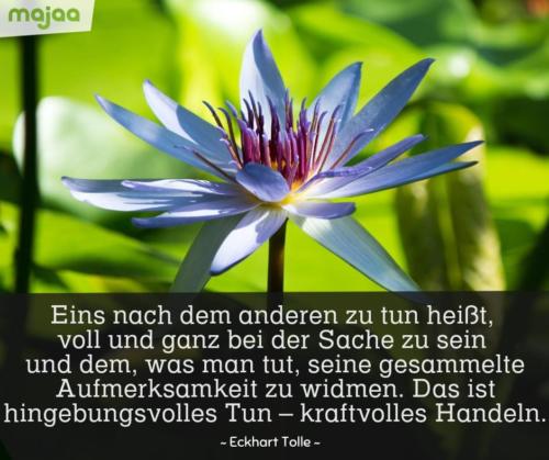 8054-sprueche-zitate-nachdenken-weisheiten-lebensweisheiten-leben-liebe-spirituell-energie-schoen-herzlich-positiv-majaa-voll-ganz-sache