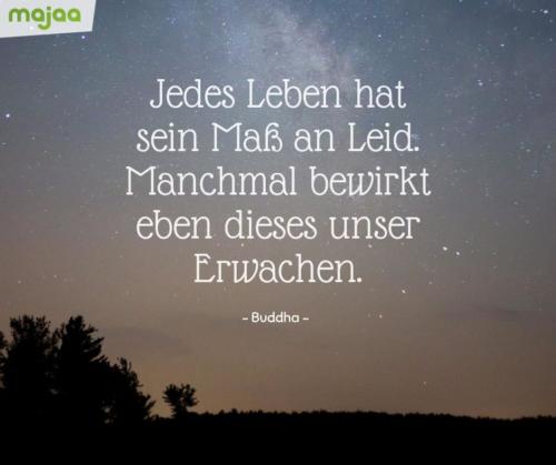 8056-sprueche-zitate-nachdenken-weisheiten-lebensweisheiten-leben-liebe-spirituell-energie-schoen-herzlich-positiv-majaa-mass-an-leid-erwachen