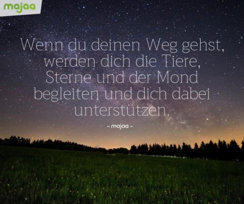 8074-sprueche-zitate-nachdenken-weisheiten-lebensweisheiten-leben-liebe-spirituell-energie-schoen-herzlich-positiv-majaa-deinen-weg-tiere-sterne-mond-begleiten