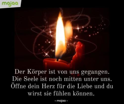 8094-sprueche-zitate-nachdenken-weisheiten-lebensweisheiten-leben-liebe-spirituell-energie-schoen-herzlich-positiv-majaa-koerper-seele-herz